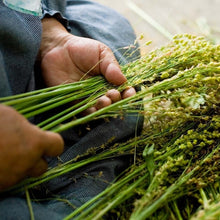 Load image into Gallery viewer, Nanbu Broom Soothing Broom for Medium-Sized Pets (M) Regular Size