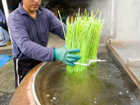 Sorting, threshing, boiling