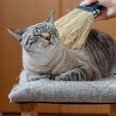 Nanbu broom Soothing broom for medium-sized pets (M) Regular size