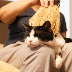 Nanbu broom Soothing broom for medium-sized pets (M) Regular size