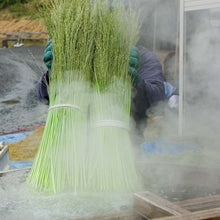Load image into Gallery viewer, Nanbu Broom Soothing Broom for Medium-Sized Pets (M) Regular Size
