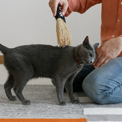 Nanbu broom Soothing broom for small pets (S)