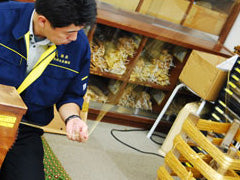 Terashima Yasutaro Shoten's gold thread