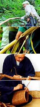 Collection and skinning