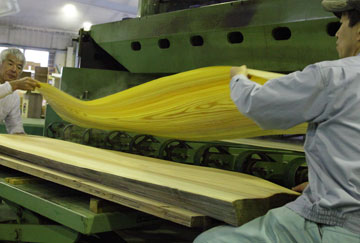 (4) Slicing