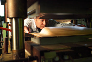 (6) Press Molding